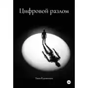 Постер книги Цифровой разлом