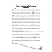 Постер книги Партия трубы в скотобойной симфонии