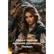 Постер книги Улика в пламени: Академия Драконьего Порядка