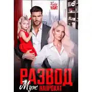 Постер книги Развод. Муж напрокат