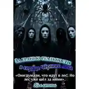 Постер книги За гранью реальности: в сердце Чёрного леса