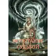 Постер книги ИСПЫТАНИЕ СУДЬБОЙ
