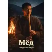 Постер книги Мёд