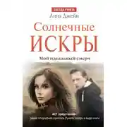 Постер книги Солнечные искры