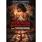 Постер книги Мужчины делили меня как территорию