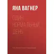 Постер книги Один нормальный день