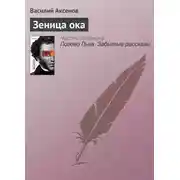 Постер книги Зеница ока