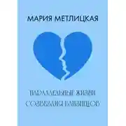 Постер книги Параллельные жизни созвездия Близнецов