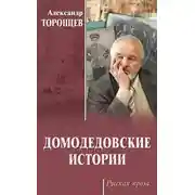 Постер книги Домодедовские истории (сборник)