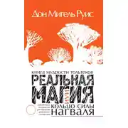 Постер книги Книга мудрости тольтеков. Реальная магия, или Кольцо силы нагваля. Практическое руководство по обретению внутреннего покоя