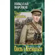 Постер книги Юность в Железнодольске
