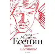 Постер книги Есенин. Путь и беспутье
