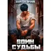Постер книги Воин Судьбы