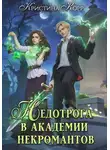 Кристина Корр - Недотрога в академии некромантов