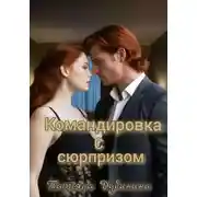 Постер книги Командировка с сюрпризом
