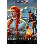Постер книги Новогодний Буран