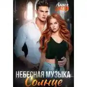 Постер книги Небесная музыка. Солнце