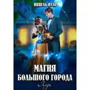 Постер книги Магия большого города. Леди