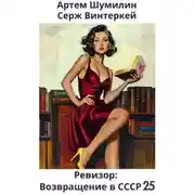 Постер книги Ревизор: возвращение в СССР 25