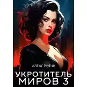 Постер книги Укротитель миров. Книга 3. Магические ключи