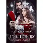Постер книги Черный феникс. Академия ХИЛТ