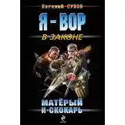 Постер книги Матёрый и скокарь