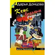 Постер книги Кекс в большом городе