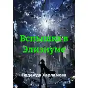 Постер книги Вспышка в Элизиуме