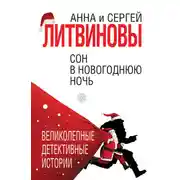 Постер книги Сон в новогоднюю ночь (сборник)