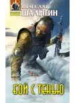 Вячеслав Шалыгин - Бой с тенью