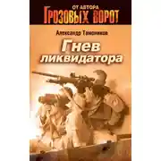 Постер книги Гнев ликвидатора