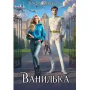Постер книги Ванилька. Ошибка космического масштаба