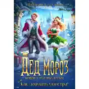 Постер книги Дед Мороз нового тысячелетия, или Как поймать монстра!