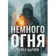 Постер книги Немного огня
