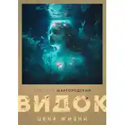 Постер книги Видок. Цена жизни