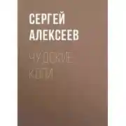 Постер книги Чудские копи