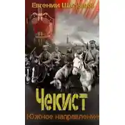 Постер книги Чекист. Южное направление