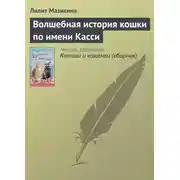 Постер книги Волшебная история кошки по имени Касси