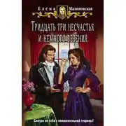 Постер книги Тридцать три несчастья и немного везения