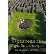 Постер книги Фрагменты случайных встреч (сборник)