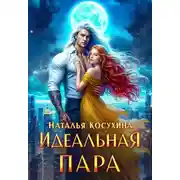 Постер книги Идеальная пара