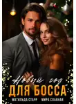 Матильда Старр - Новый год для босса