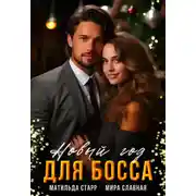 Постер книги Новый год для босса