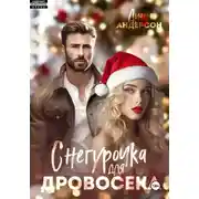 Постер книги Снегурочка для Дровосека