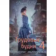 Постер книги Трудовые будни барышни-попаданки 4