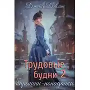 Постер книги Трудовые будни барышни-попаданки 2