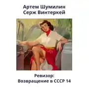 Постер книги Ревизор: возвращение в СССР 14