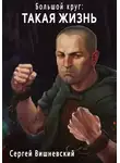 Сергей Вишневский - Большой круг: Такая жизнь