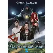 Постер книги Случайный маг 2