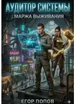 Егор Попов - Аудитор Системы: Маржа выживания